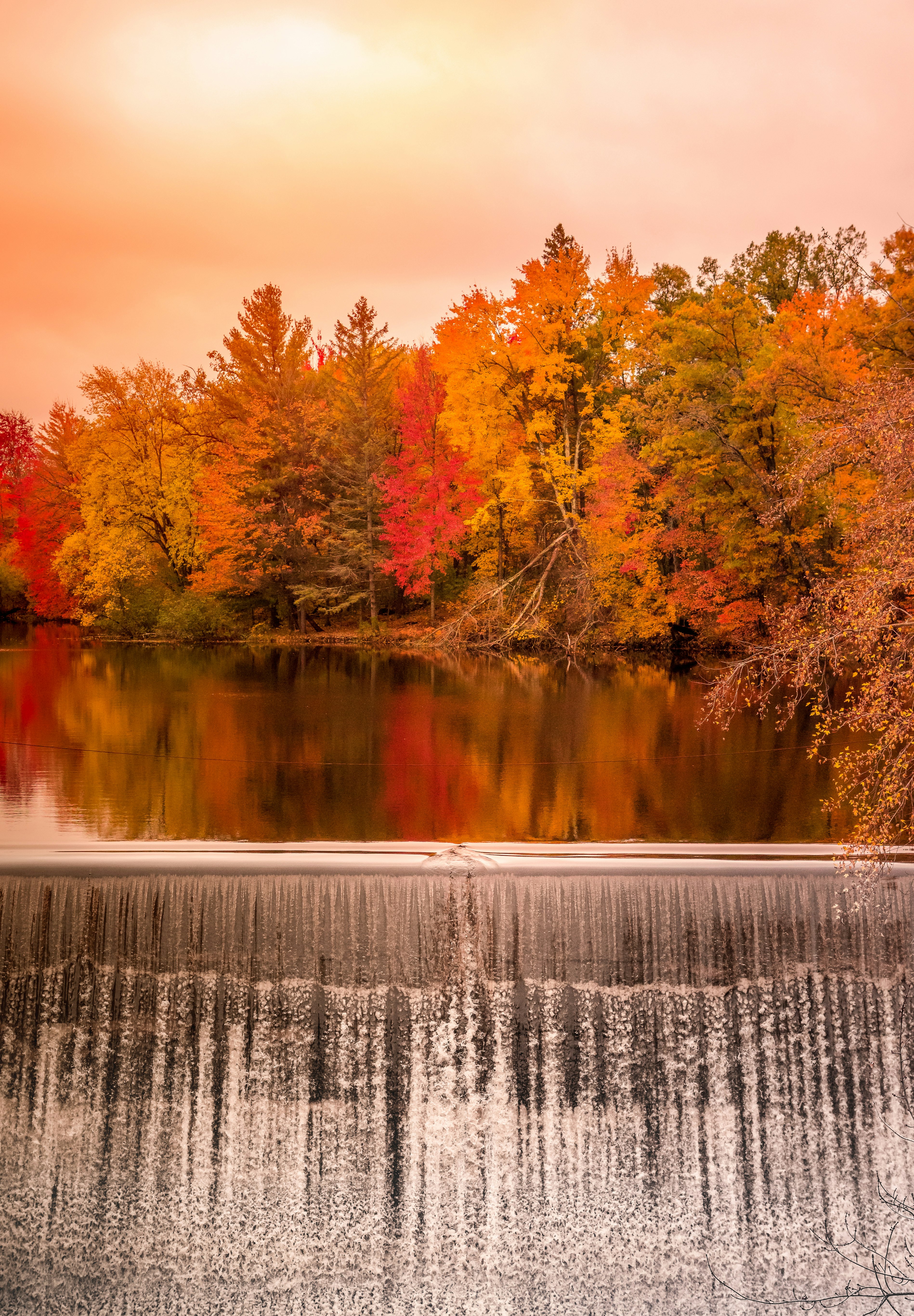 dam among autumn color trees